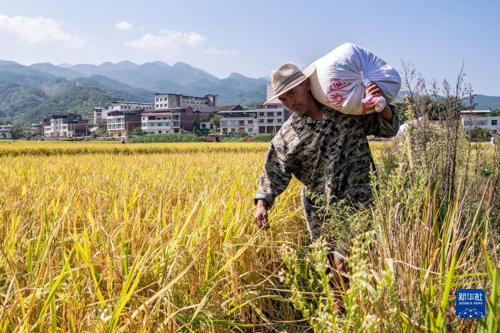 送彩金的娱乐游戏平台